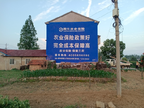 甘泉墙体广告为何受追捧？